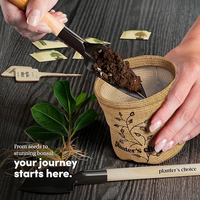 Planter's Choice Bonsai Tree Starter Kit - Unique Easter Gifts for Women, Men - Birthday Gifts for Adults - Indoor Live House Plants - DIY for Adults Craft Kits - Hobby Gift Gardening Lovers