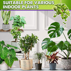 DUSPRO Recycle 4QRT Pre-Mixed House Plant Potting Mix 7in1 with Potting Soil Indoor Plants, Tropical Indoor Potting Soil with Pine Bark, Pumice, Coco Coir, Perlite, Worm Castings, Gypsum, Peat Moss