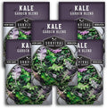 Baby Kale Seeds – Garden Blend Mix of Curly & Flat Leaf Kale – Heirloom Variety Pack for Cut-and-Come-Again Greens – Fall or Spring Planting – Survival Garden Seeds (5 Packs)