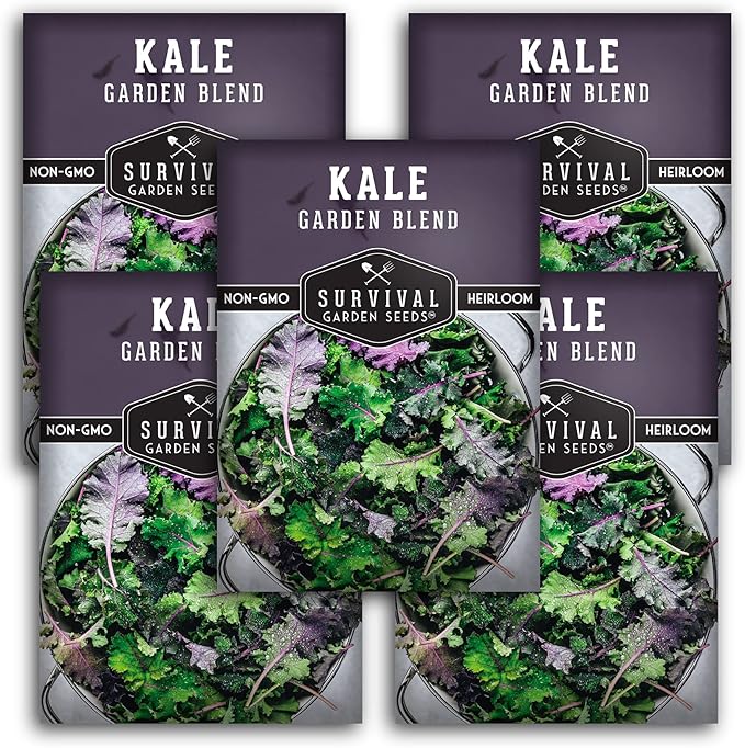 Baby Kale Seeds – Garden Blend Mix of Curly & Flat Leaf Kale – Heirloom Variety Pack for Cut-and-Come-Again Greens – Fall or Spring Planting – Survival Garden Seeds (5 Packs)