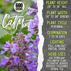 Seed Needs Herb Seeds for Planting a Collection of 6 Medicinal Herbs - Non-GMO Heirloom & Untreated Tea & Infusion Varieties (Chamomile, Lemon Balm, Spearmint, Anise Hyssop, Lemon Mint & Catmint)