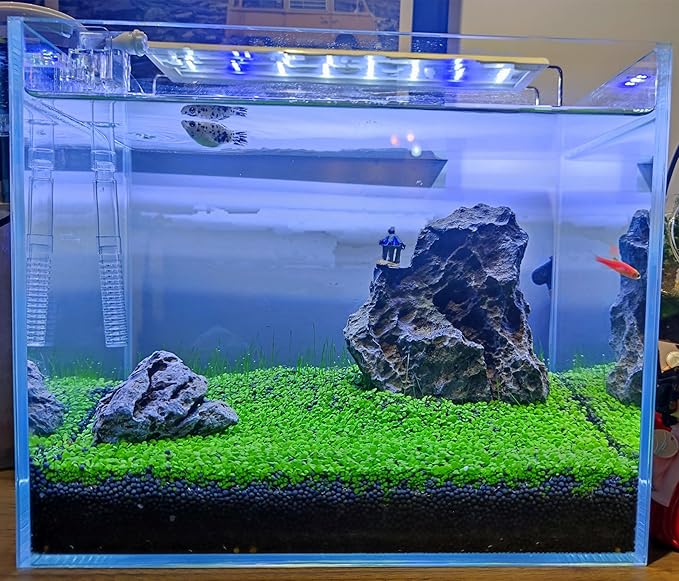 4 Bags Aquarium Plant S.e.e.ds, not Artificial Plastic Plant, Fish Tank Live Grass for All Substrate (0.36ozTiny+0.36oz Long+0.36oz Short+0.36oz Big Dual) ZQV-014