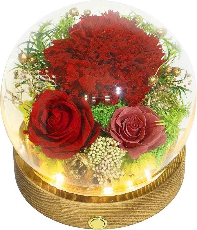 Valley of Rain & Forest Long-Lasting Real Flowers, Unique Floral Gift For you to send Love for All Occasions, for Indoor Decoration (Red Carnation Arrangement)