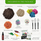 Creations by Nathalie DIY Terrarium Starter Kit - Small Terrarium Kit with Moss, Soil, Pebbles, Tools, Crystals & Figurines - Fun Gardening Craft Supplies for Adults & Teens - Handcrafted in USA