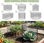 Plant Protector from Animals, 6 Set Plant Cages for Outdoor Plants 12'' x 16'' Metal Wire Protectors for Plants, Protection Cages with Stakes & Zip Ties, to Keep Rabbits Chicken Duck Out for Garden