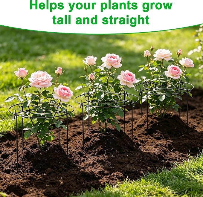 6 Pack Peony Cages and Supports, 12'' x 20'' Metal Removable Grid Flower Support Cage Set, 4-Leg Outdoor Plant Stake for Garden Peonies Tomato Hydrangea Strawberry (Black)