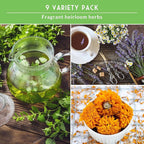 Medicinal Tea Herb Seeds for Planting | 9 Variety Pack of Heirloom, Non-GMO Herbs – Grow Herbal Teas, Natural Remedies – Home Apothecary Garden Kit – Survival Garden Seeds
