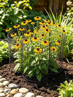 6 Pack Heavy-Duty Chicken Wire Plant Cloches, 14"x16" Rustproof Chicken Wire Cages for Flowers, Seedlings & Vegetables, Combine to Large Fences for Raised Beds & Patios, Keep Rabbits, Squirrels Out