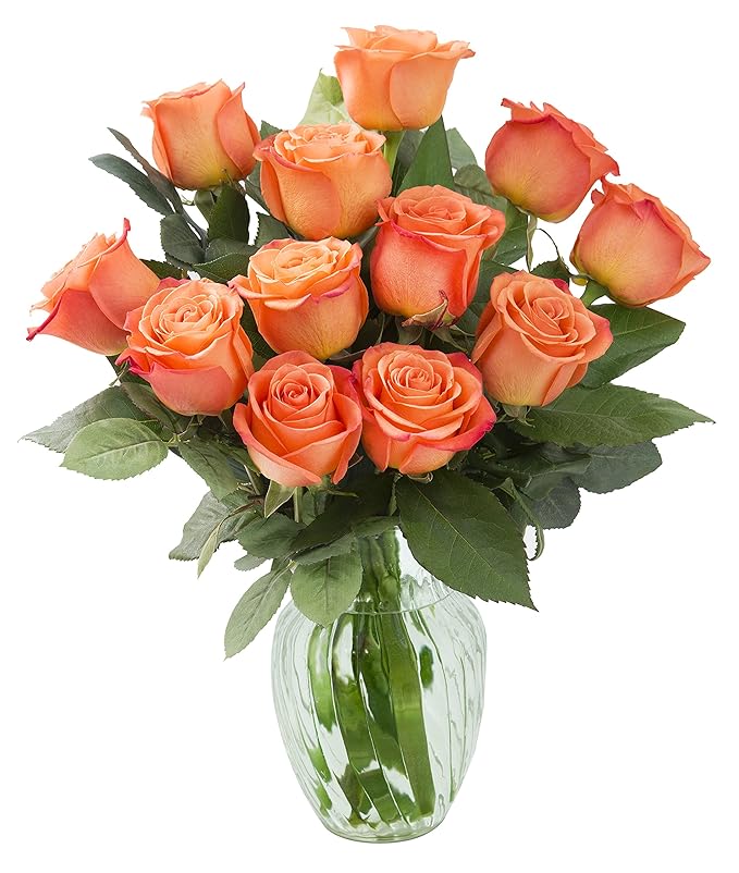 KaBloom - Bouquet of 12 Fresh Orange Roses (Farm-Fresh, Long-Stem) with Vase - Fresh Flowers for Birthday, Valentine's & Mother's Day