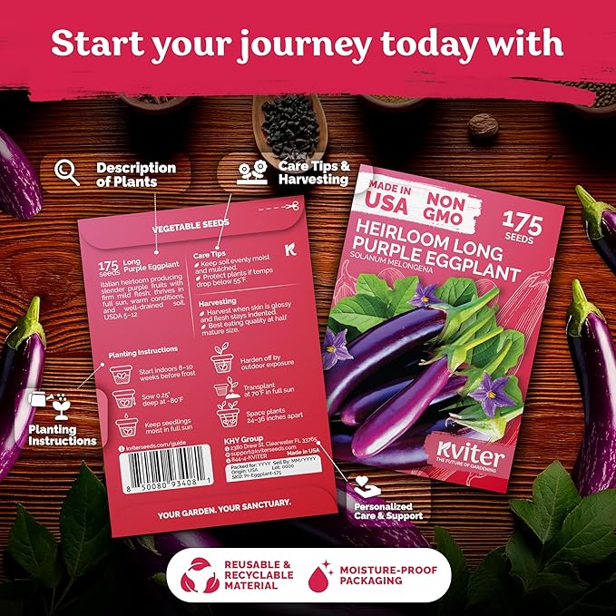 KVITER 175 Long Purple Eggplant Seeds (Solanum melongena) – Asian Eggplant, Dark Purple Italian Egg Plant Seed Packets – Heirloom Vegetable Seeds for Planting Outdoors & Indoor Garden, Containers Beds