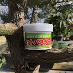 Bonsai Cut Paste for Deciduous - 160 Grams + Made in Japan, Pruning Sealer for an Injury to The Bark, Putty Based Wound Sealant for Perimeter Cuts to The Tree