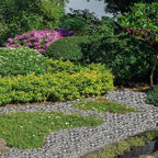 Skyflame Black Natural Tumbled Stones Round Lava Rock Pebbles for Indoor Outdoor Gas Fire Pit | Fireplaces | Garden Landscaping Decoration | Cultivation of Potted Plants | 10 Pounds | 1/2-1 Inch Size
