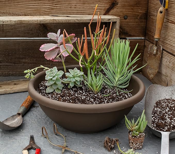 The HC Companies 20 Inch Large Garden Bowl Planter - Shallow Plant Pot with Drainage Plug for Indoor Outdoor Flowers, Herbs, Slate Blue (Pack of 5)