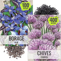 Seed Needs Borage & Chives Seeds for Planting Fresh Kitchen Herbs - Non-GMO Heirloom & Untreated Perennial Herb Seed to Plant a Culinary Garden Indoors or Outdoors (2 Pack Duo)