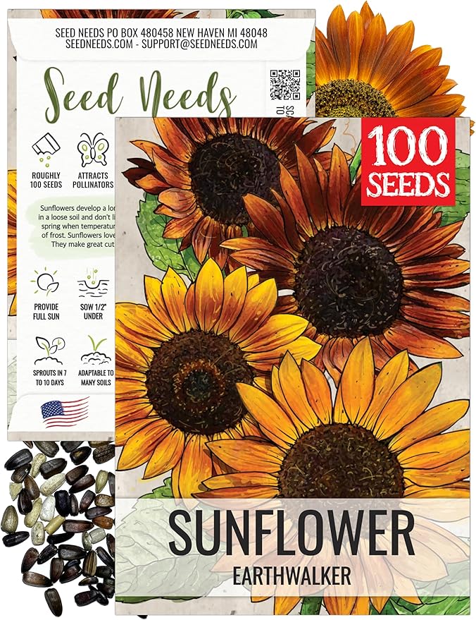 Seed Needs Earthwalker Sunflower Seeds for Planting Rustic Sunflowers - Heirloom & Open Pollinated Flower Seed to Plant an Outdoor Wildflower Butterfly Garden (1 Pack)