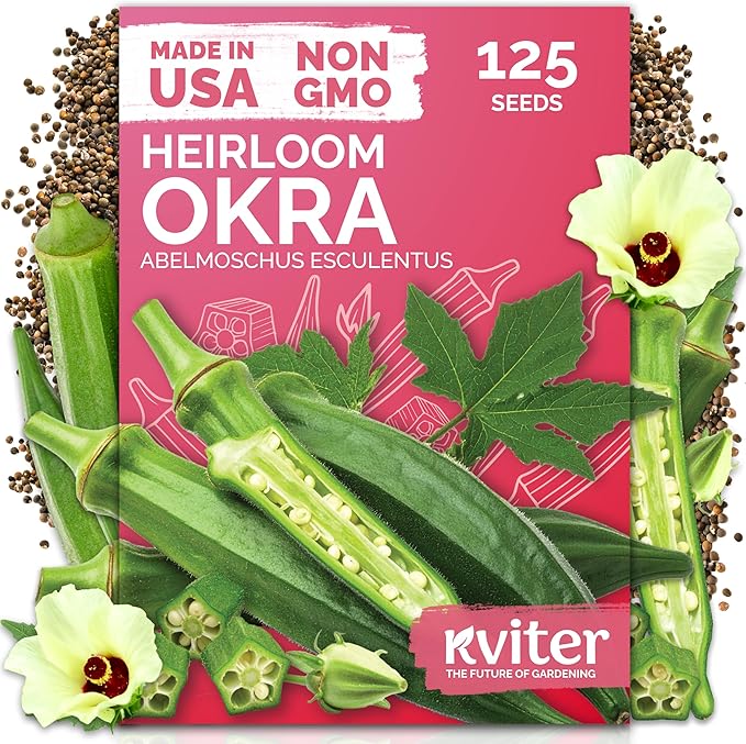 KVITER 125 Clemson Spineless 80 Okra Seeds for Planting (Abelmoschus esculentus) – Heirloom & Organic Okra, Spineless Pods, Heavy Yields – Vegetable Seeds to Plant in Outdoor Garden