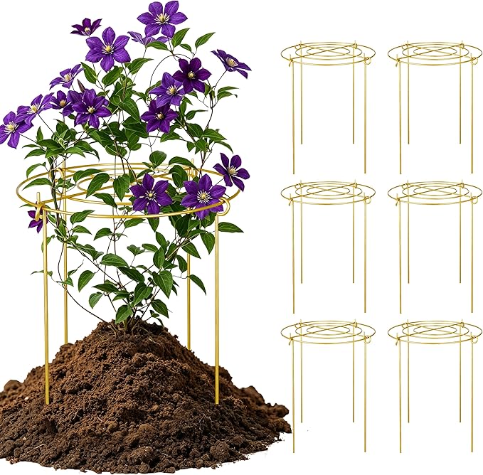 6 Pack Peony Cages and Supports, 12'' x 20'' Metal Removable Grid Flower Support Cage Set, 4-Leg Outdoor Plant Stake for Garden Peonies Tomato Hydrangea Strawberry (Gold)