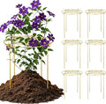 6 Pack Peony Cages and Supports, 12'' x 20'' Metal Removable Grid Flower Support Cage Set, 4-Leg Outdoor Plant Stake for Garden Peonies Tomato Hydrangea Strawberry (Gold)