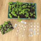 MIXC 360 Cells Seedling Starter Trays Transparent Seed Tray Grow Germination Kit with 30 Plant Lables(1.5 inch x 12 Cells per Tray, 30 Trays)