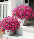 Ivydale 24 Bundles Artificial Flowers for Outdoors Faux Plants Spring Outdoor Decor Faux Silk Morning Glory with Eucalyptus Realistic UV Resistant for Outside Planters Porch Patio Garden Home Decor