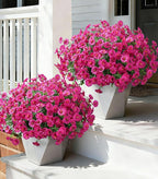 Ivydale 24 Bundles Artificial Flowers for Outdoors Faux Plants Spring Outdoor Decor Faux Silk Morning Glory with Eucalyptus Realistic UV Resistant for Outside Planters Porch Patio Garden Home Decor