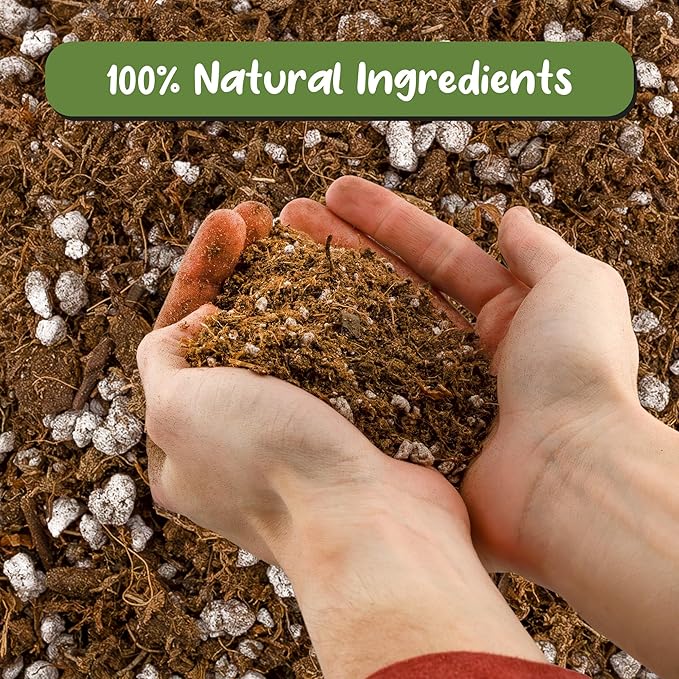 Soil Sunrise Carnivorous Plant Potting Soil Mix (12 Quarts) Custom Blend for Venus Fly Traps, Sundews, and Pitcher Plants