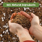 Soil Sunrise Carnivorous Plant Potting Soil Mix (8 Quarts) Ideal Additive for Venus Fly Traps, Sundews, and Pitcher Plants