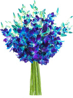 KaBloom - Exotic Blue Sapphire Orchid Bouquet of 20 Fresh Blue Orchids - Fresh Flowers for Birthday, Valentine's & Mother's Day