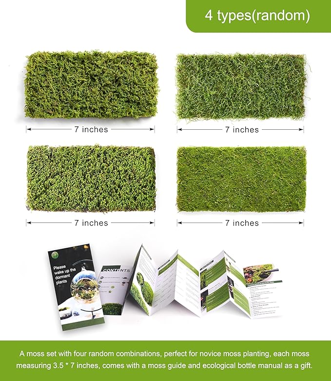 Real Live Moss – 4 Types Live Moss for Terrariums, Jumping Spider, Reptile Habitats & Mini Landscapes | Revives in 5 Minutes with Water Mist, Soft Green Texture, Easy to Grow (4-Pack, 3.5”x7”)