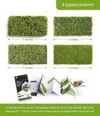 Real Live Moss – 4 Types Live Moss for Terrariums, Jumping Spider, Reptile Habitats & Mini Landscapes | Revives in 5 Minutes with Water Mist, Soft Green Texture, Easy to Grow (4-Pack, 3.5”x7”)