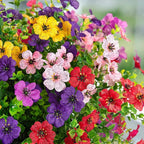 Ammyoo Artificial Flowers for Outdoors Spring Decoration, 12 Bundles Fake Flower Daisy with Realistic Eucalyptus Leaves, Faux Plants for Greenery Boxwood Porch Patio Garden Pot Lawn