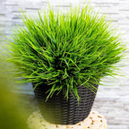 Artificial Monkey Grass Outdoor Shrubs - 20 Bundles Fake Plants UV Resistant No Fade Faux Plastic Greenery Home Garden Porch Patio Decoration Office Indoor (Green Grass)