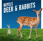 Liquid Fence Deer And Rabbit Repellent Ready-To-Use, Apply Year-Round, 1 Gallon