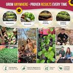 Organo Republic 40 Vegetable Seeds Variety Pack - 26000 Non GMO Heirloom Seeds for Planting Vegetables & Fruits in Bulk Individual Seed Packets, Home Garden Seeds for Hydroponic, Indoor & Outdoors