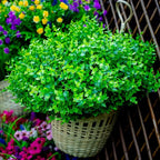 Fake Plants Flowers Outdoor Artificial Shrubs - 16 Bundles UV Resistant No Fade Faux Plastic Greenery Home Garden Porch Patio Decoration Office Indoor (Green)