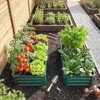 Outsunny Galvanized Raised Garden Bed, 4' x 2' x 1' Metal Planter Box, for Growing Vegetables, Flowers, Herbs, Succulents, Green