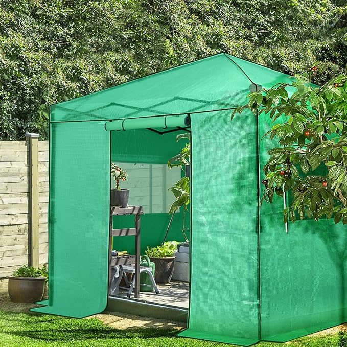 EAGLE PEAK 8x8 Portable Walk in Greenhouse, Pop Up Indoor Outdoor Greenhouse, Green House Kit with Zippered Roll-Up Doors and Windows, PE Cover, Clear/Green