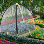 PURPLE STAR 1N 35 x35 x 39 Inch Insect Barrier Plant Tent Cover-Insect Bird Barrier Netting Mesh-Bug Guard Cover with Stakes for Protect Plants Fruits from Insect Bird Eating (1, L)