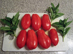 Clovers Garden San Marzano Tomatoes– Two (2) Live Plants – Non-GMO - Not Seeds - Each 4" to 8" Tall – in 4" Inch Pots -Indeterminate, Heirloom Roma