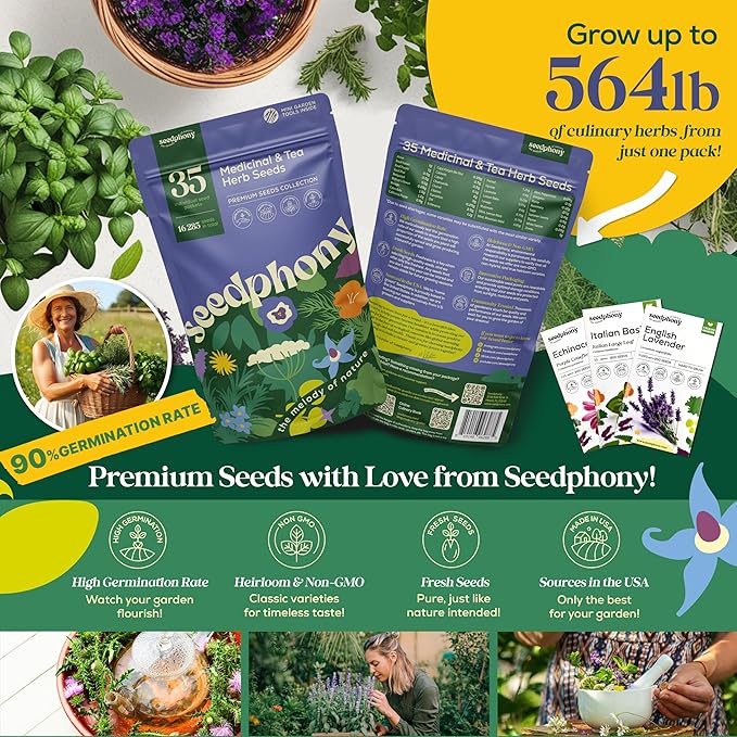 Seedphony 35 Medicinal & Tea Herb Seeds Variety Pack - 16,285+ Non-GMO Heirloom Herbs Seeds for Planting Indoor & Outdoor: Lavender, Rosemary, Echinacea, Mint, Catnip, Basil - Gardening Seed Packets