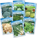Jiffy Plant Germination Kit - Greenhouse Starter Kit, Lightweight, GMO Free - 72 Cell, 2 Pack - Peat/Plastic