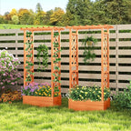 LDAILY Raised Garden Bed with Trellis, Above Ground Garden Bed with Hanging Roof, Side Trellis, & Drainage Holes, Planter Box for Outdoor Climbing Plants Vines Flowers (2, 31" L x 14" W x 60" H)