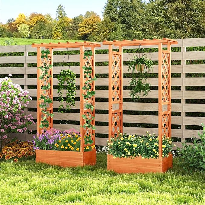 LDAILY Raised Garden Bed with Trellis, Above Ground Garden Bed with Hanging Roof, Side Trellis, & Drainage Holes, Planter Box for Outdoor Climbing Plants Vines Flowers (2, 31" L x 14" W x 60" H)