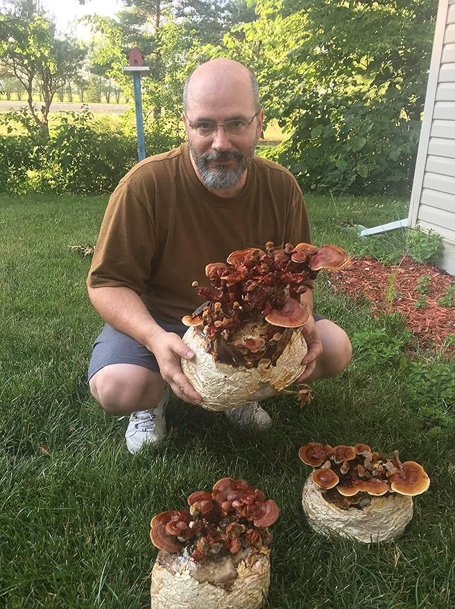 Mushroom Man LLC Reishi Mushroom Indoor Growing Kit