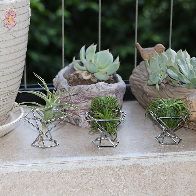 Geometric Air Plant Holder Airplants Rack Metal Plants Stand Planter Shelves Himmeli Living Decor Tillandsia Pot Containers (Silver 5pcs)