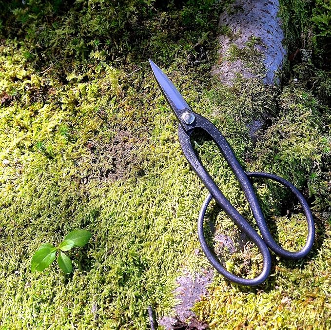 KAKURI Ashinaga Bonsai Scissors Made in Japan 8", Japanese Carbon Steel Blade, Long Handle Bonsai Shears for Precision Pruning and Trimming
