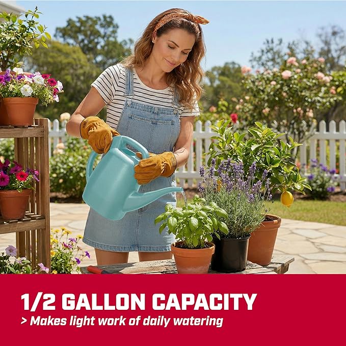 Chapin 48007 Watering Can, Garden, Indoor and Outdoor Plants, Recycled Plastic, Made in USA, 0.5 Gallon, Sky Blue