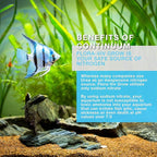 Continuum Aquatics Flora Viv Grow – Nitrogen Source and Plant Growth Accelerator for Freshwater Planted Aquariums, 250-ml