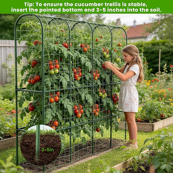 62in Tall Cucumber Trellis for Raised Bed, 68" L x 62" H Metal Garden Trellis for Climbing Plants Outdoor, U-Shape Vegetables Trellis Support for Squash Zucchini Peas Grape