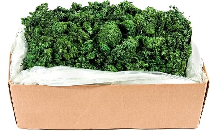 Super Moss (21499 Reindeer Moss Preserved, Forest Green, 10lbs